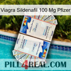 Viagra Sildenafil 100Mg Pfizer kamagra1